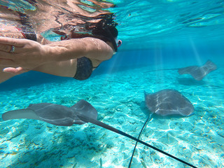 Girl snorkeling scuba with sharks and manta ray over reef in underwater Paradise. Turquoise sea in...