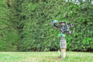 Close up springer water in the park