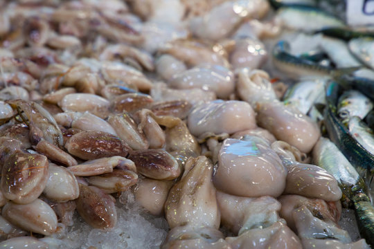 Pulpos peque&ntilde;os y sardinas  sobre hielo en el mercado