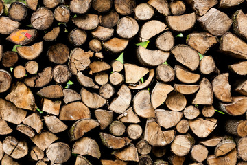 ends of logs wooden background. toning. wood in the stack. - Image