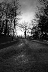 Obraz premium Sunset in the Park