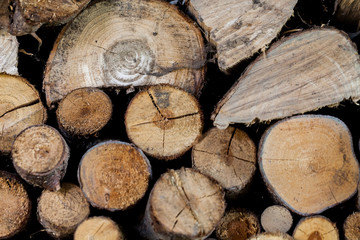 Naklejka premium Sawed tree trunks and branches in different sizes, piled up in blue container Wood storage industry. Background of dry chopped firewood logs stacked up on top of each other in a pile.