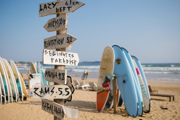 surfing on the beach, weligama sri lanka - obrazy, fototapety, plakaty