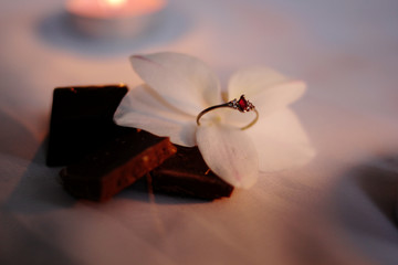 Niespodzianka Stock Photos And Royalty Free Images Vectors