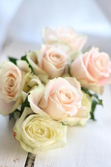 A bouquet of delicate pale pink and  cream roses , shallow depth of field 