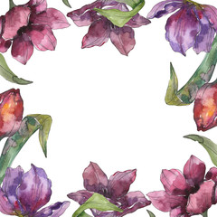 Fototapeta premium Purple tulip floral botanical flowers. Watercolor background illustration set. Frame border ornament square.