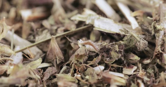 Motherwort grass in bulk