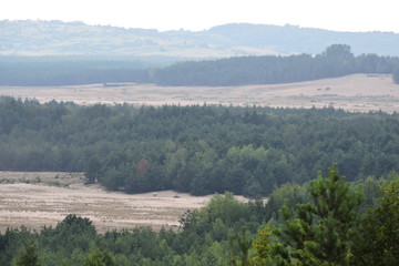 A view of a forest and the Błędów Desert