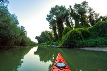 Kayaking near overgrown shore of green thick thickets of trees and wild grapes on the banks of river at summer. Bow of red kayak on Danube river.
