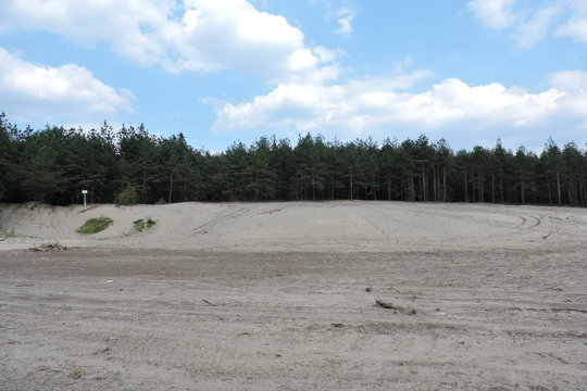 A view of the Błęd&oacute;w Desert