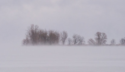 Obraz na płótnie Canvas Barren Winter Landscape