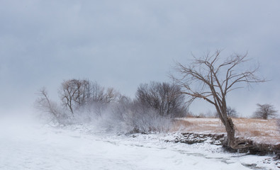 Obraz na płótnie Canvas Barren Winter Landscape