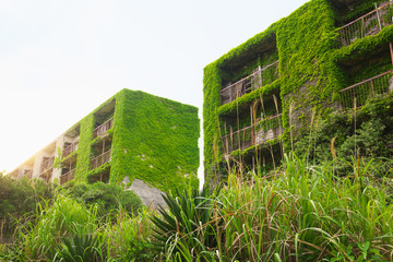 Ruined apartment buildings in Ikeshima, Nagasaki, Japan