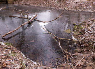 Winterlandschaft im Bruch in Bünde, Deutschland. Auf einem zugefrorenen Bach liegen Äste und Zweige.