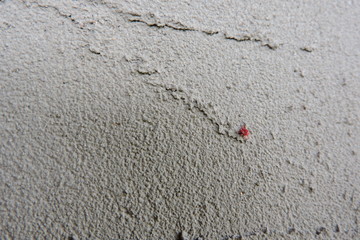 A texture of plaster