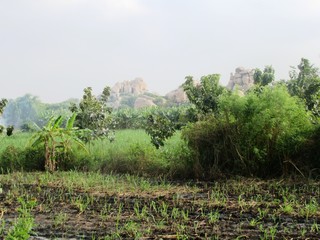 Landschaft und Tiere in der Nähe von Hampi / Weltkulturerbe in Karnataka, Südindien