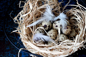 quail eggs in the nest