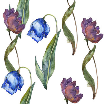 Purple and blue tulip floral botanical flower. Watercolor illustration set. Seamless background pattern.