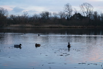 duddingstone loch edinburgh