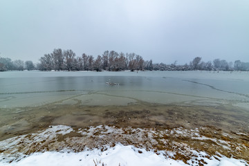 Naklejka premium Danube island (Šodroš) near Novi Sad, Serbia. Colorful landscape with snowy trees, beautiful frozen river.