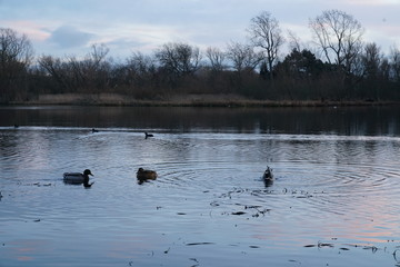 duddingstone loch edinburgh