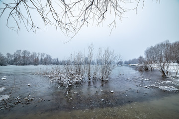 Naklejka premium Danube island (Šodroš) near Novi Sad, Serbia. Colorful landscape with snowy trees, beautiful frozen river.