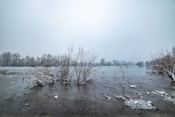 Naklejka premium Danube island (Šodroš) near Novi Sad, Serbia. Colorful landscape with snowy trees, beautiful frozen river.