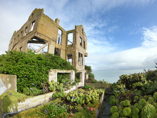 Alcatraz prison island