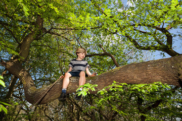 Brave, adventures and courageous boy with stick climbed high tree in the forest - Green foliage background.