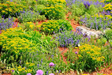 Blumenbeet mit verschiedenen Pflanzen im Sommer