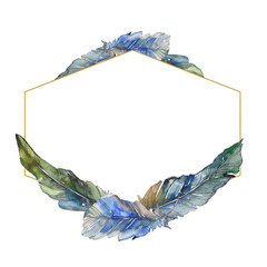 Bird feather from wing isolated. Watercolor background illustration set. Frame border ornament...