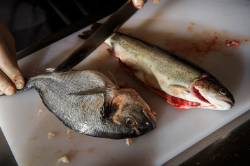 closeup fresh trout and dorado fish on white cutting board