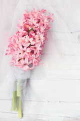 Pink Hyacinth flowers on white background, with copy space; floral/spring background