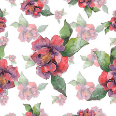 Red purple camelia floral botanical flower. Watercolor illustration set. Seamless background...