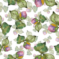 Red purple camelia floral botanical flower. Watercolor illustration set. Seamless background...