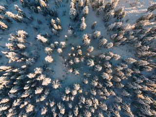 Luftaufnahme von verschneitem Wald bei Sonnenaufgang