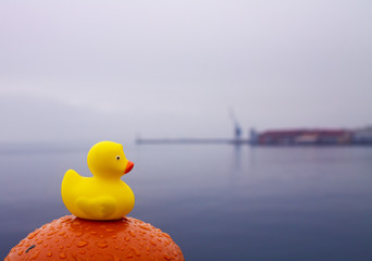 Yellow rubber duck with the crane on the background