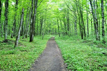 Obraz premium Chapel Trail 3