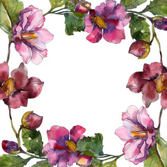 Red purple camelia floral botanical flower. Watercolor background illustration set. Frame border...