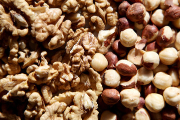Natural background made in nuts. Hazelnut and walnut background.
