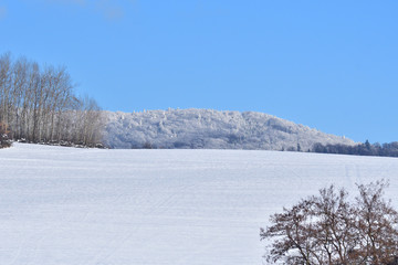 white landscape forests and trees from the snow in High Tatras Slovakia