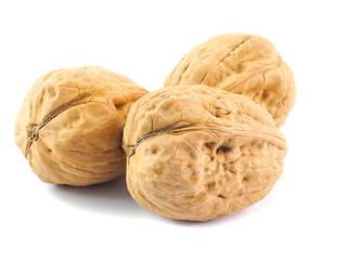 Noci