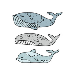 Vector cute dolphin and whales set, northen sea collection.