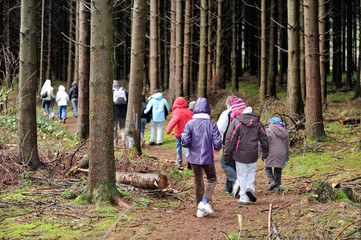 classes vertes excursion education enfants foret bois nature automne environnement