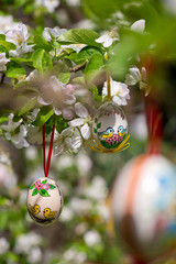 Easter egss hanging on the twig of apple tree in the garden