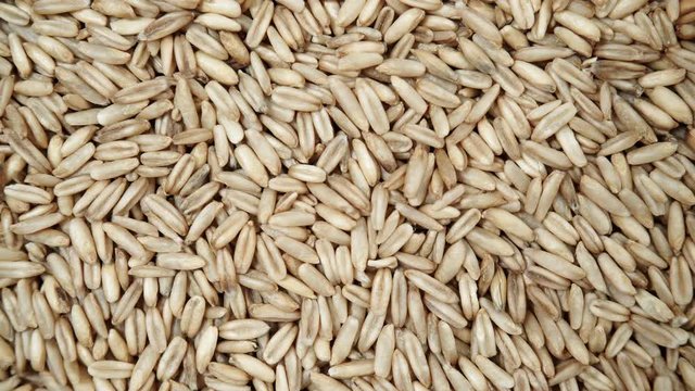 Oat seeds as natural food background. Top view. Healthy diet organic nutrition