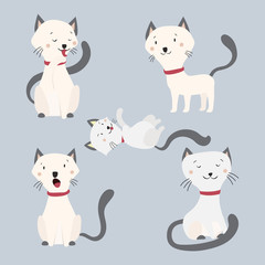 Collection of cute cat with five action on grey background, Vector illustration.