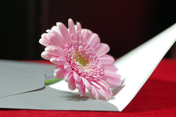 Liebesbrief mit Blume in Pink