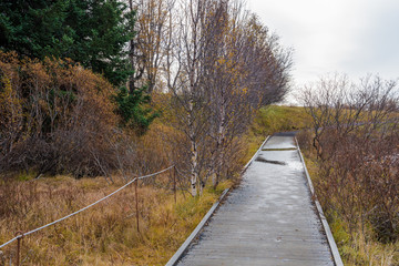 Wooden Boardwalk in a Park in Iceland on a Cloudy Autumn Day