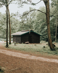 old house in forest